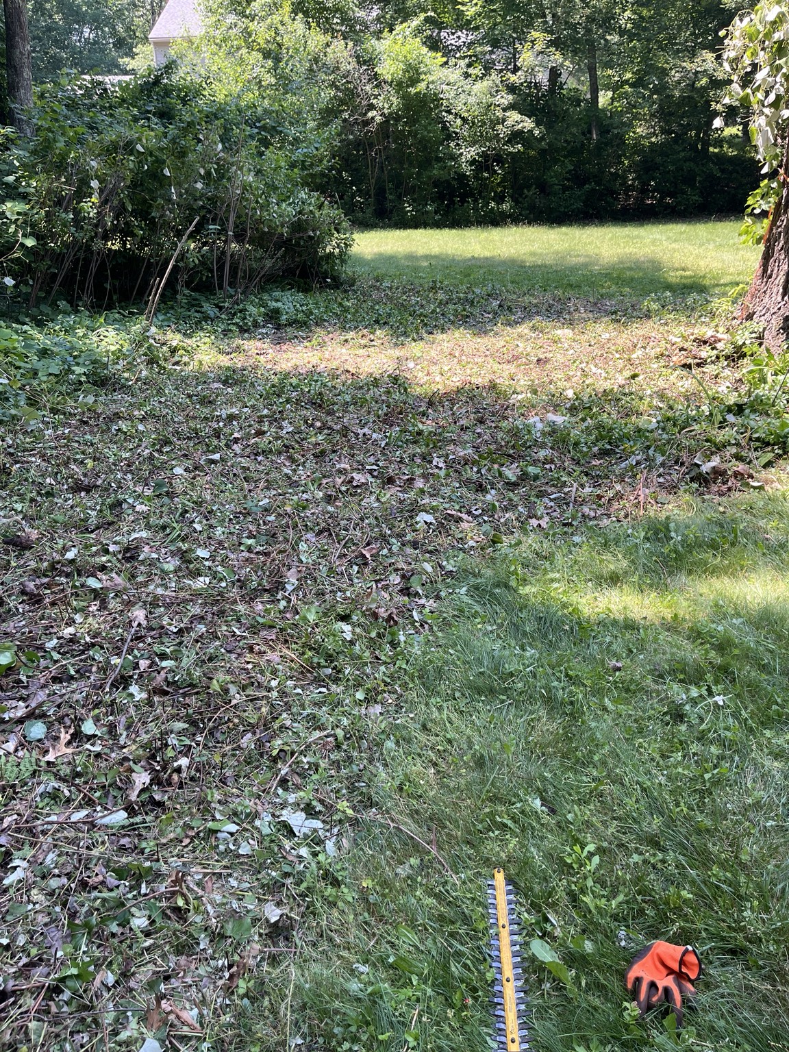 Brush Clearing - Szymanski Landscaping