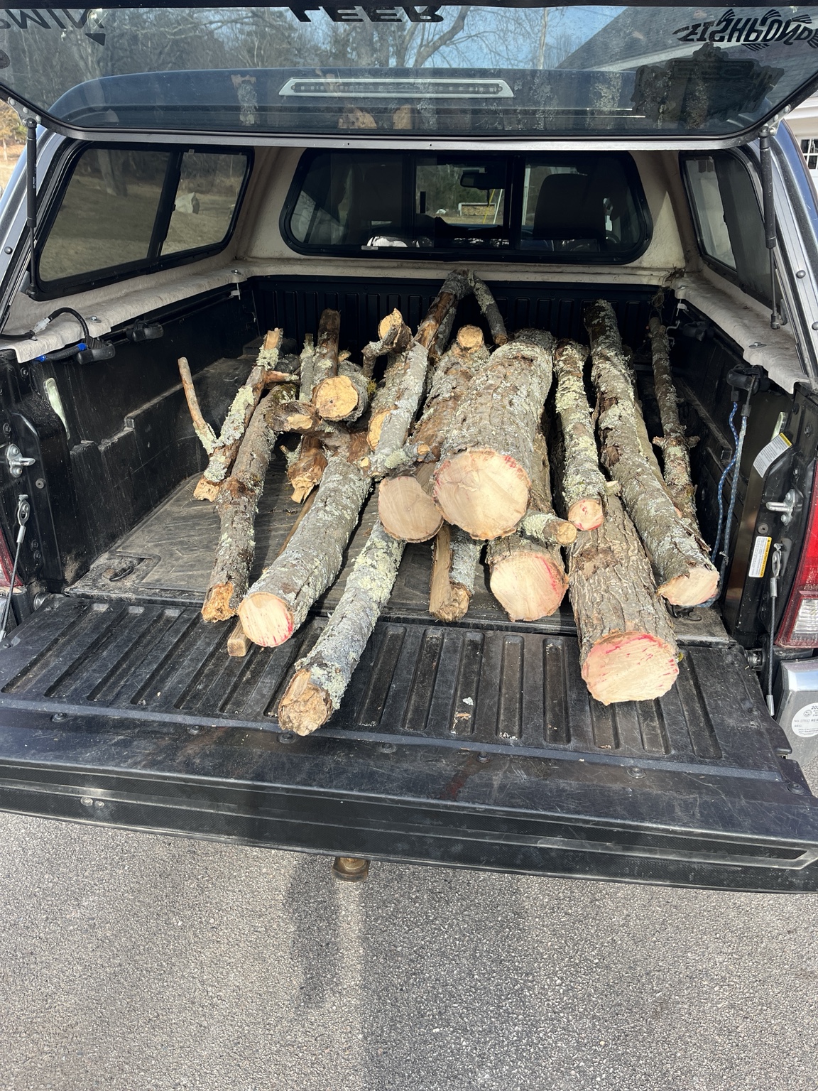 Spring & Fall Cleanups - Szymanski Landscaping