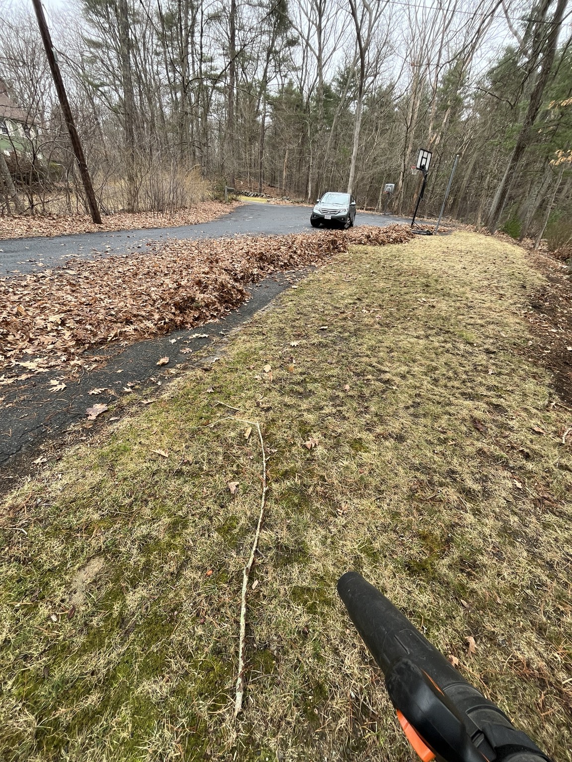 Leaf Cleanup - Szymanski Landscaping